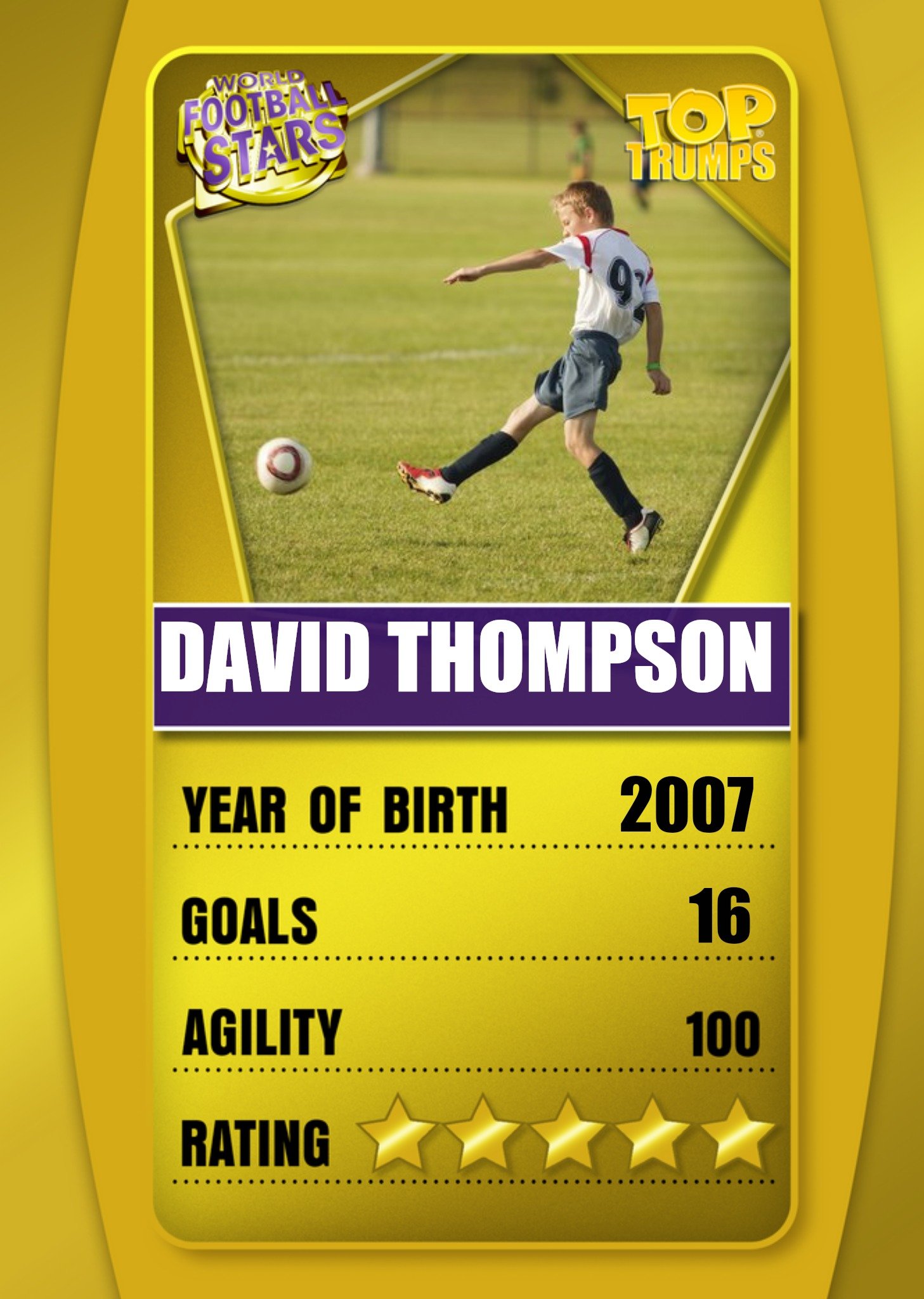Other Top Trumps World Football Stars Fact Photo Upload Birthday Card, Large