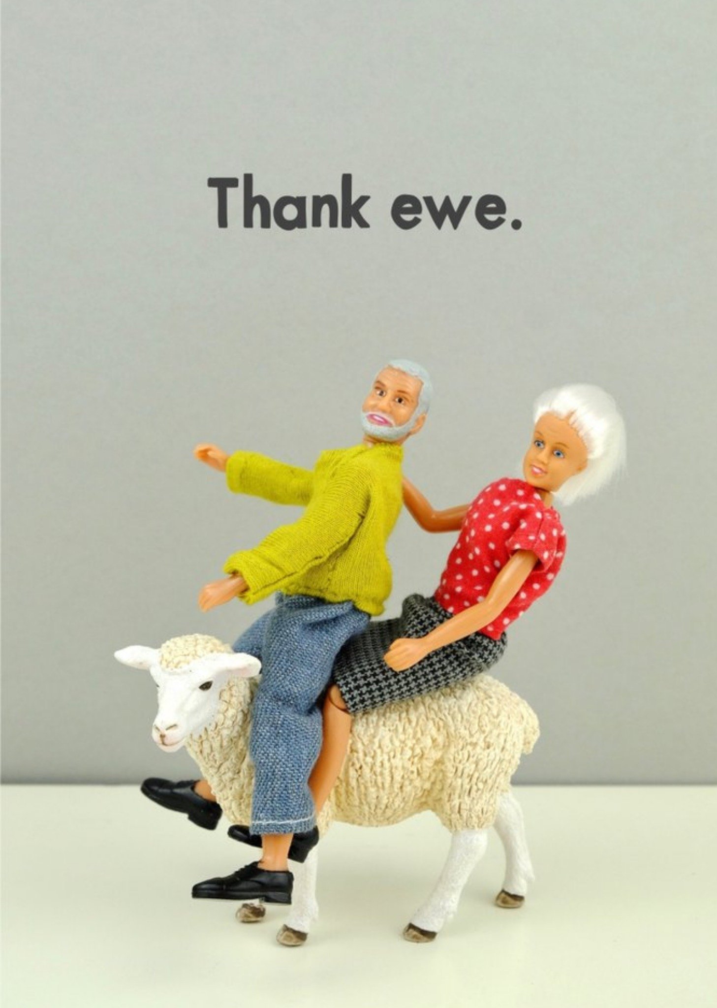 Bold And Bright Funny Photograph Of A Female And Male Doll Riding On A Sheep Thank You Card Ecard