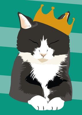 Illustrated Party Hat Black And White Cat Card