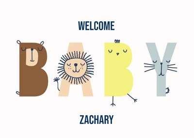 Welcome Baby Postcard