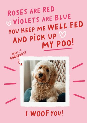 Funny You Keep Me Well Fed And Pick Up My Poo From the Dog Photo Upload Valentine's Day Card