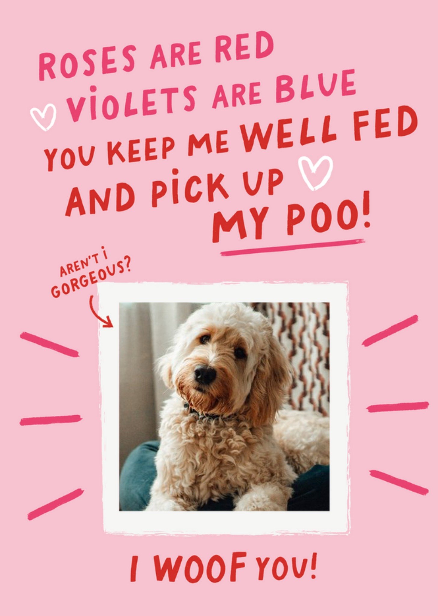 Moonpig Funny You Keep Me Well Fed And Pick Up My Poo From The Dog Photo Upload Valentine's Day Card