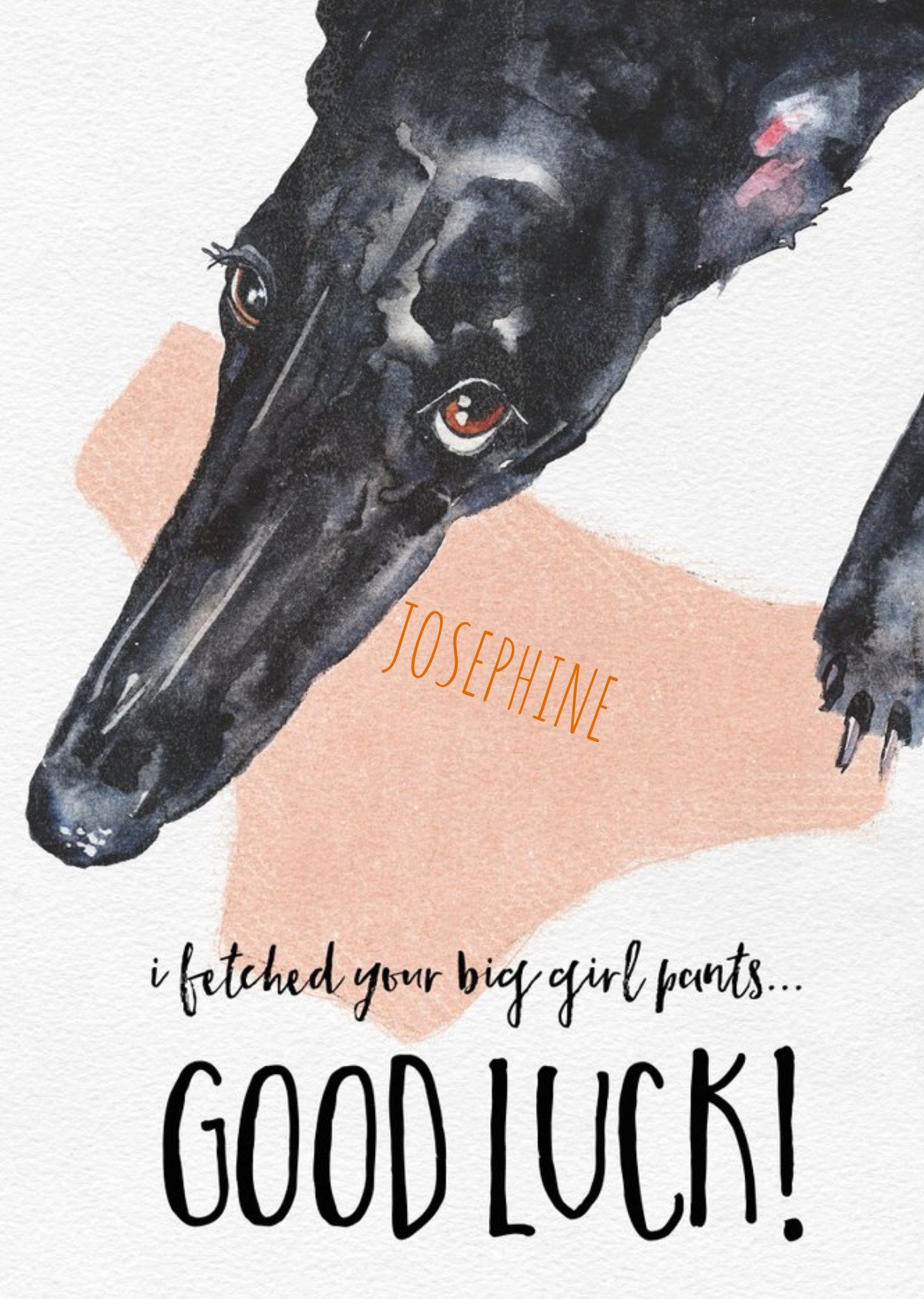 Funny Greyhound Watercolour Illustration Big Girl Pants Good Luck Card Ecard