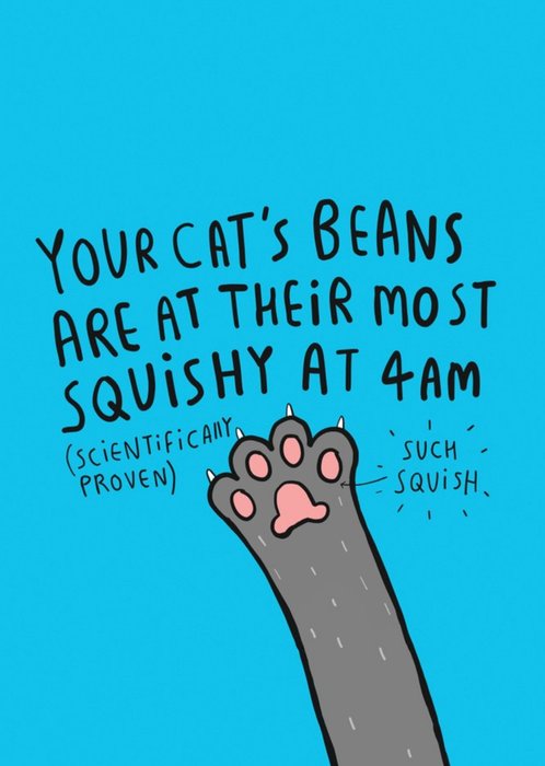 Funny Illustrated Cats Beans Birthday Card