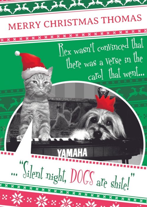 The Cat At Christmas Funny Animal Card