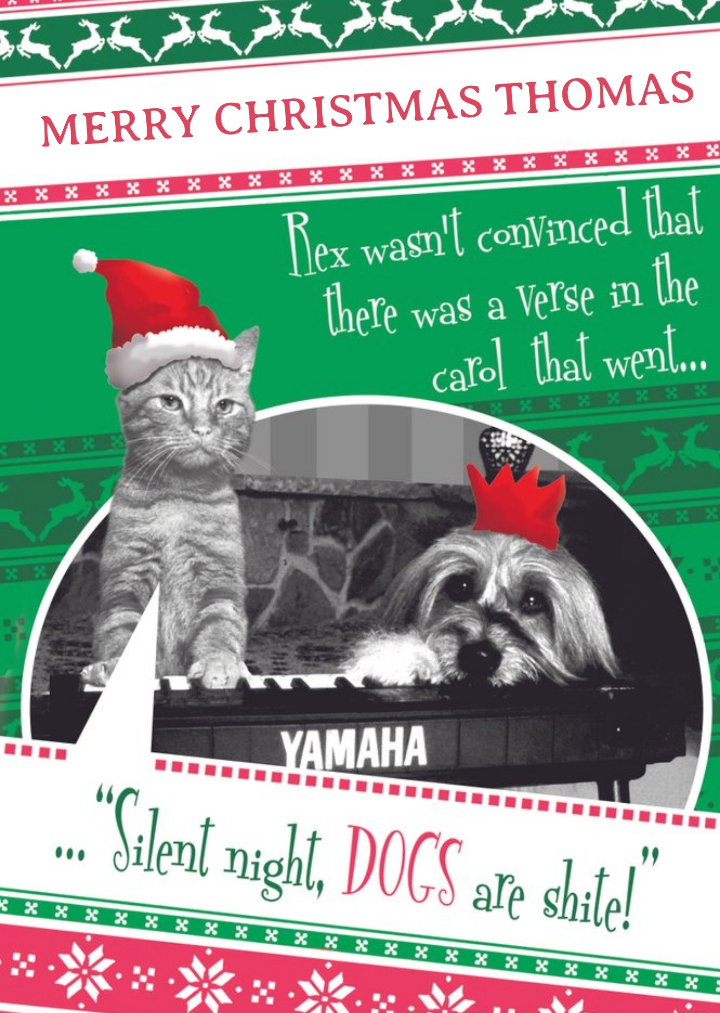 Moonpig The Cat At Christmas Funny Animal Card Ecard