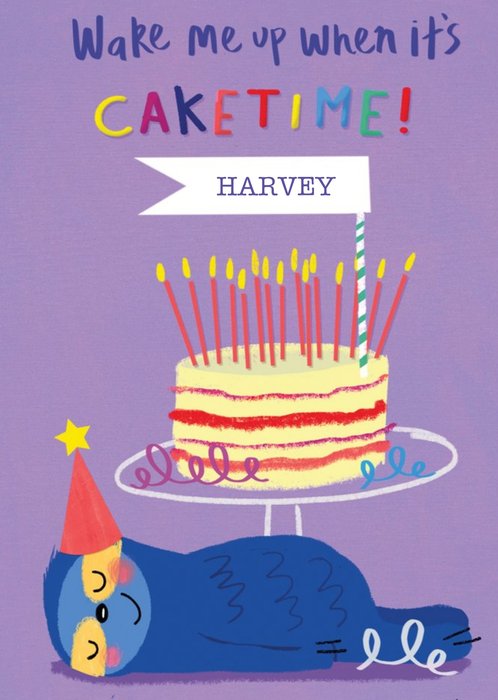 Funny Illustration Of Cake And A Sloth Sleeping Birthday Card