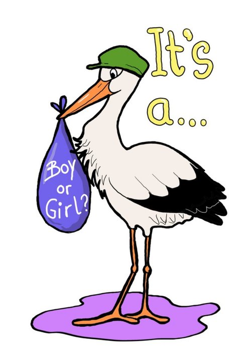 Illustration Of A Stork Delivering A Baby New Baby Card