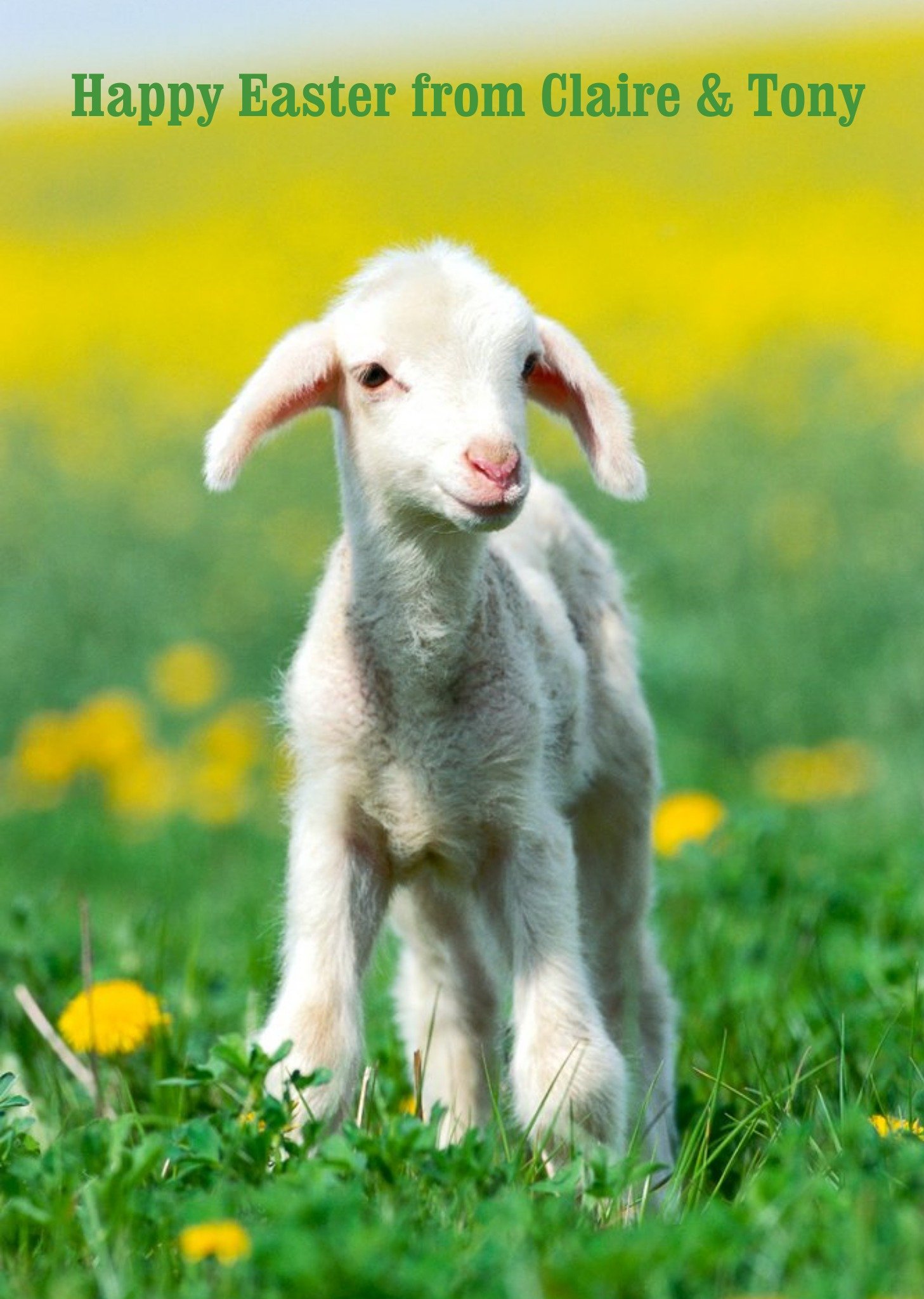 Moonpig Little Lamb Personalised Happy Birthday Card Ecard