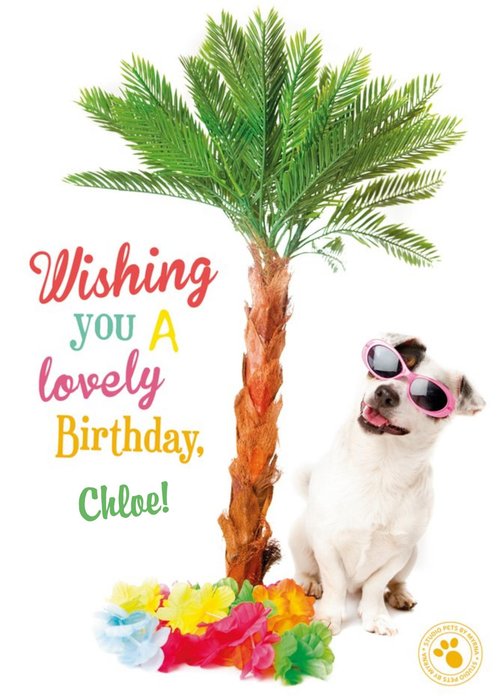Palm Tree And Pup Personalised Happy Birthday Card