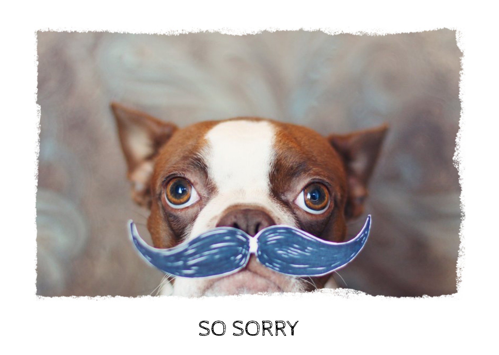 Boston Terrier With Moustache Personalised Sympathy Card Ecard