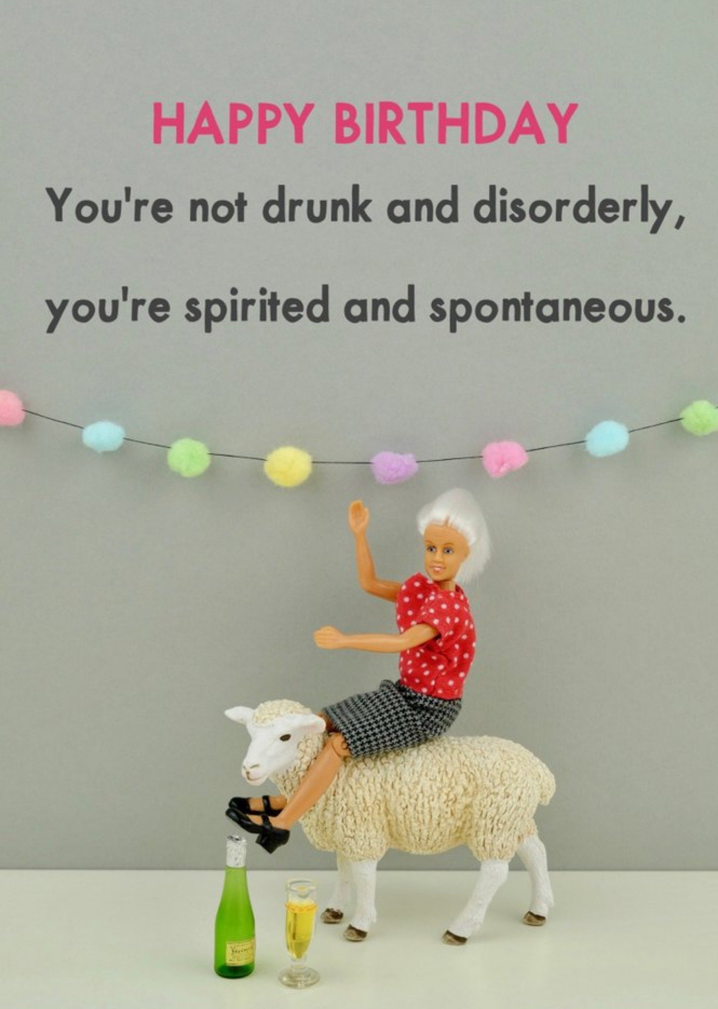 Bold And Bright Funny You Are Not Drunk And Disorderly Card, Large