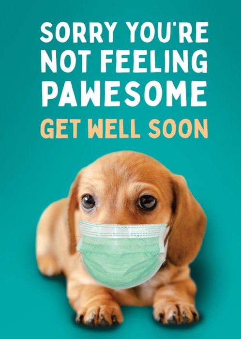 Dog Mask Covid Sorry You Are Not Feeling Pawesome Get Well Soon Card
