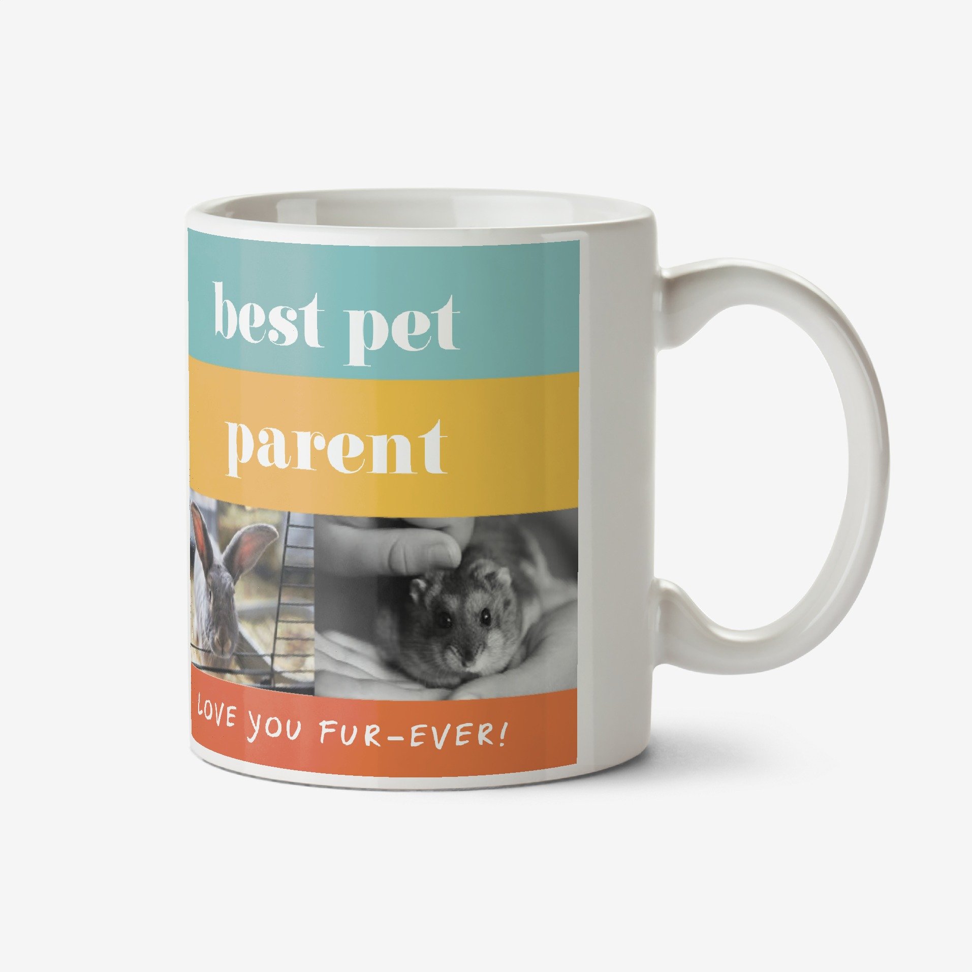 Best Pet Parent Fur-Ever Photo Upload Mug Ceramic Mug