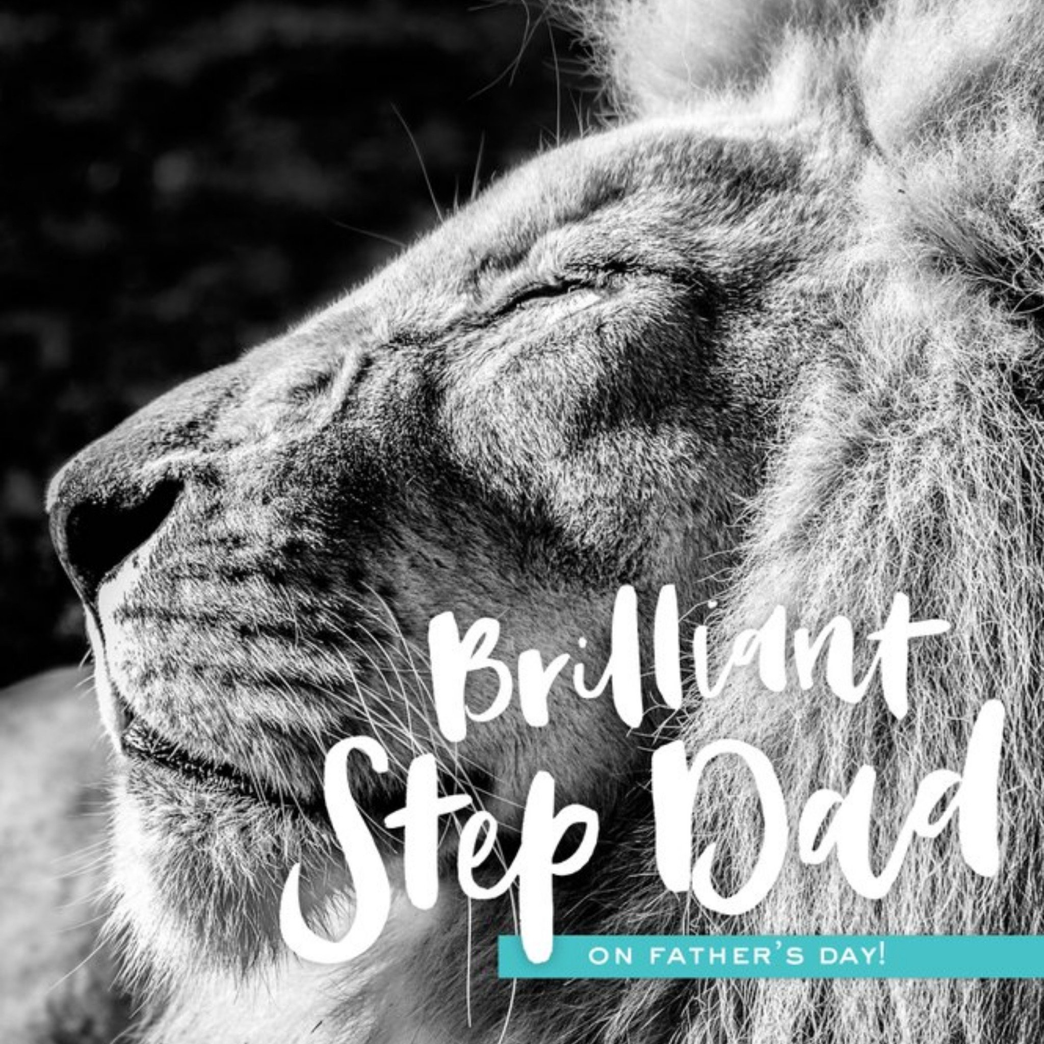 Sleeping Lion Brilliant Step Dad Fathers Day Card, Square