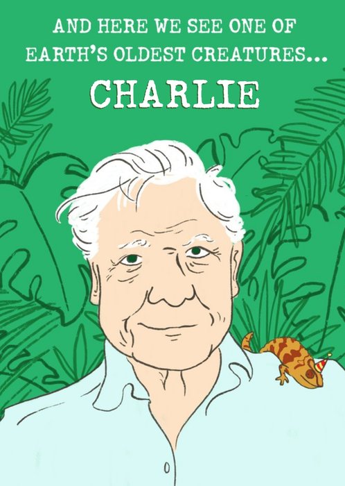 Funny Humour Old Age Joke David Attenborough Illustrated Friend Birthday Card