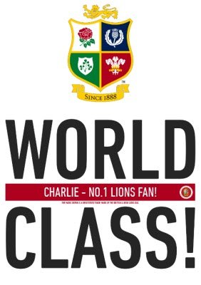 The British And Irish Lions World Class T-Shirt