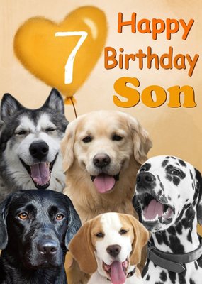 Alex Sharp Male Photographic Of Dogs 7th Birthday Card