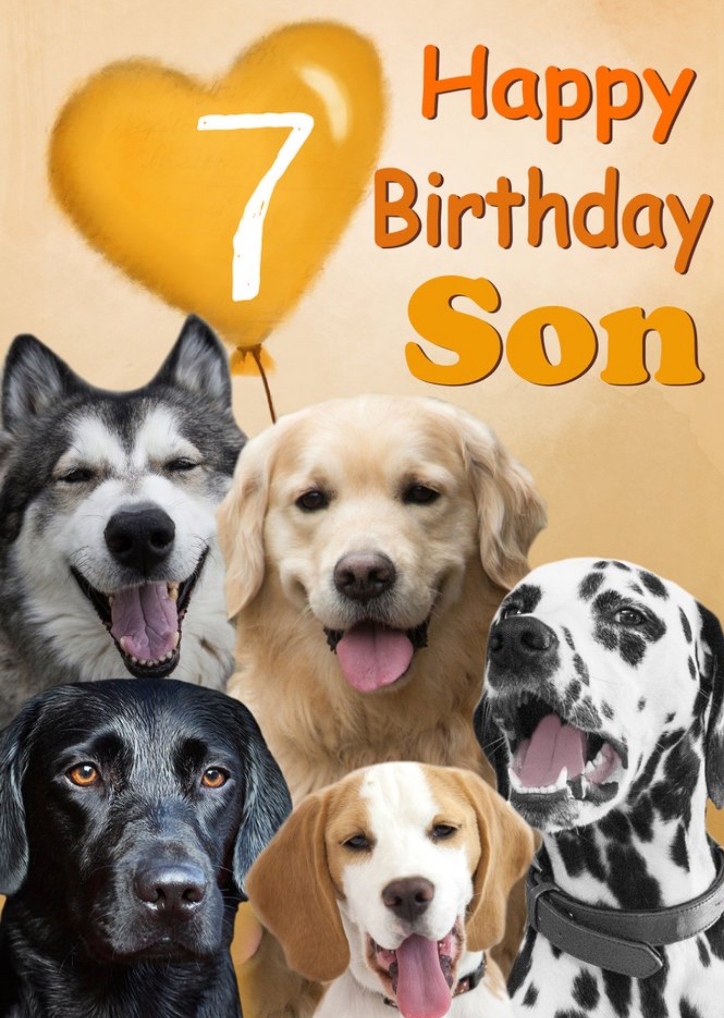 Alex Sharp Male Photographic Of Dogs 7th Birthday Card Ecard