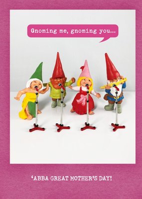 Gnoming Me And You Funny Abba Mother's Day Card