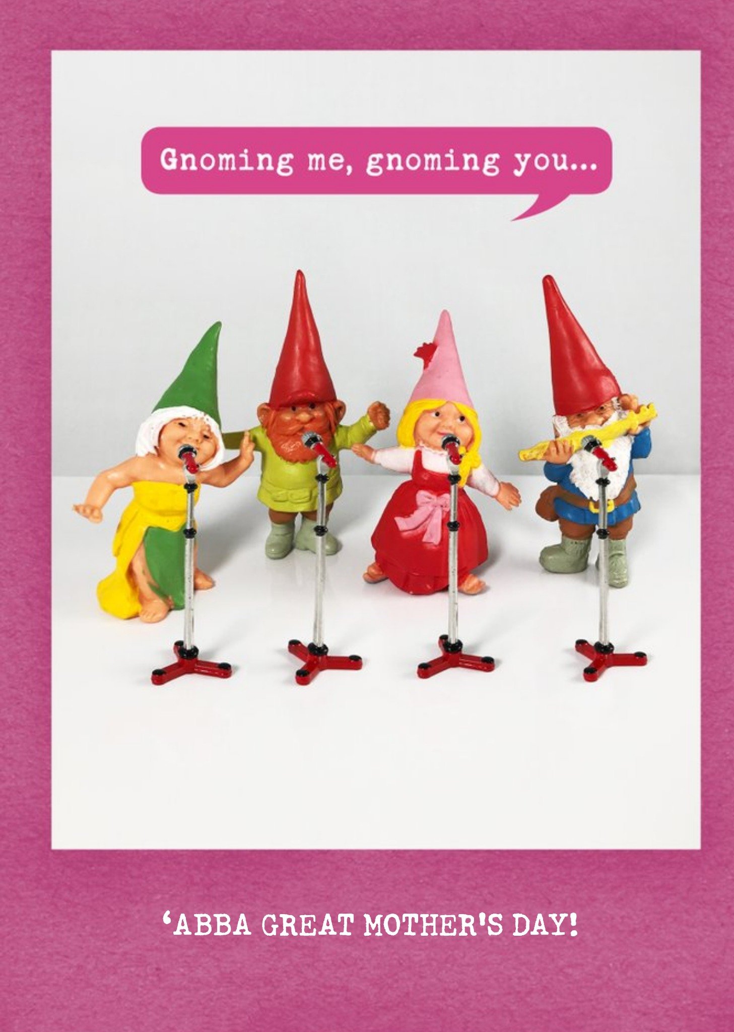 Gnoming Me And You Funny Abba Mother's Day Card