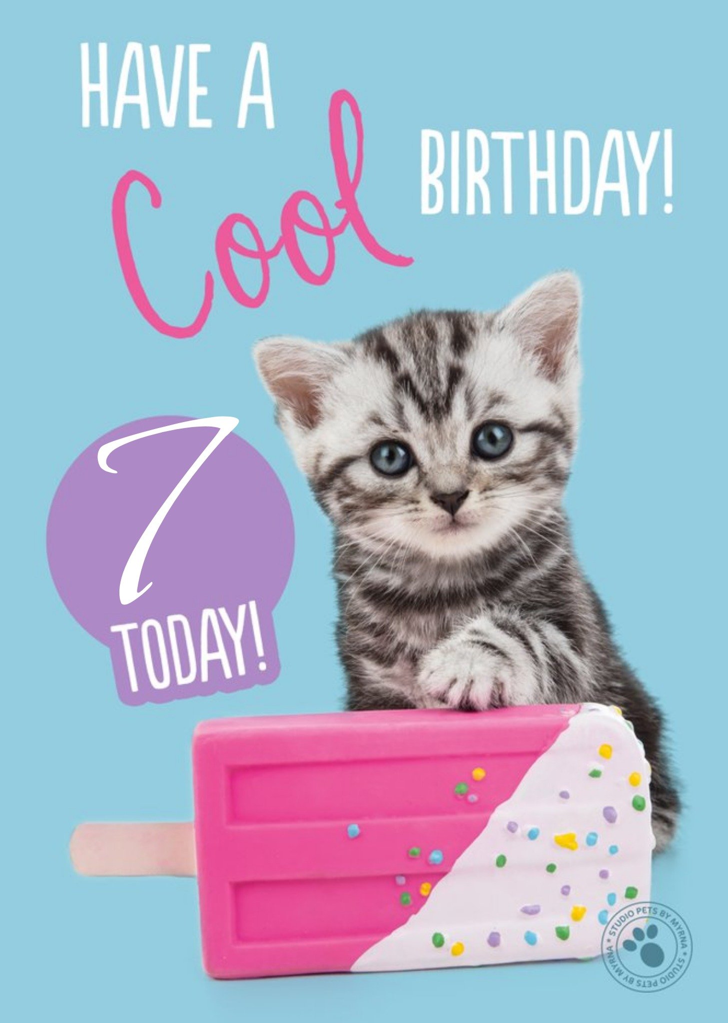 Studio Pets Cute Kitten Ice Lolly Cool Birthday Card, Large