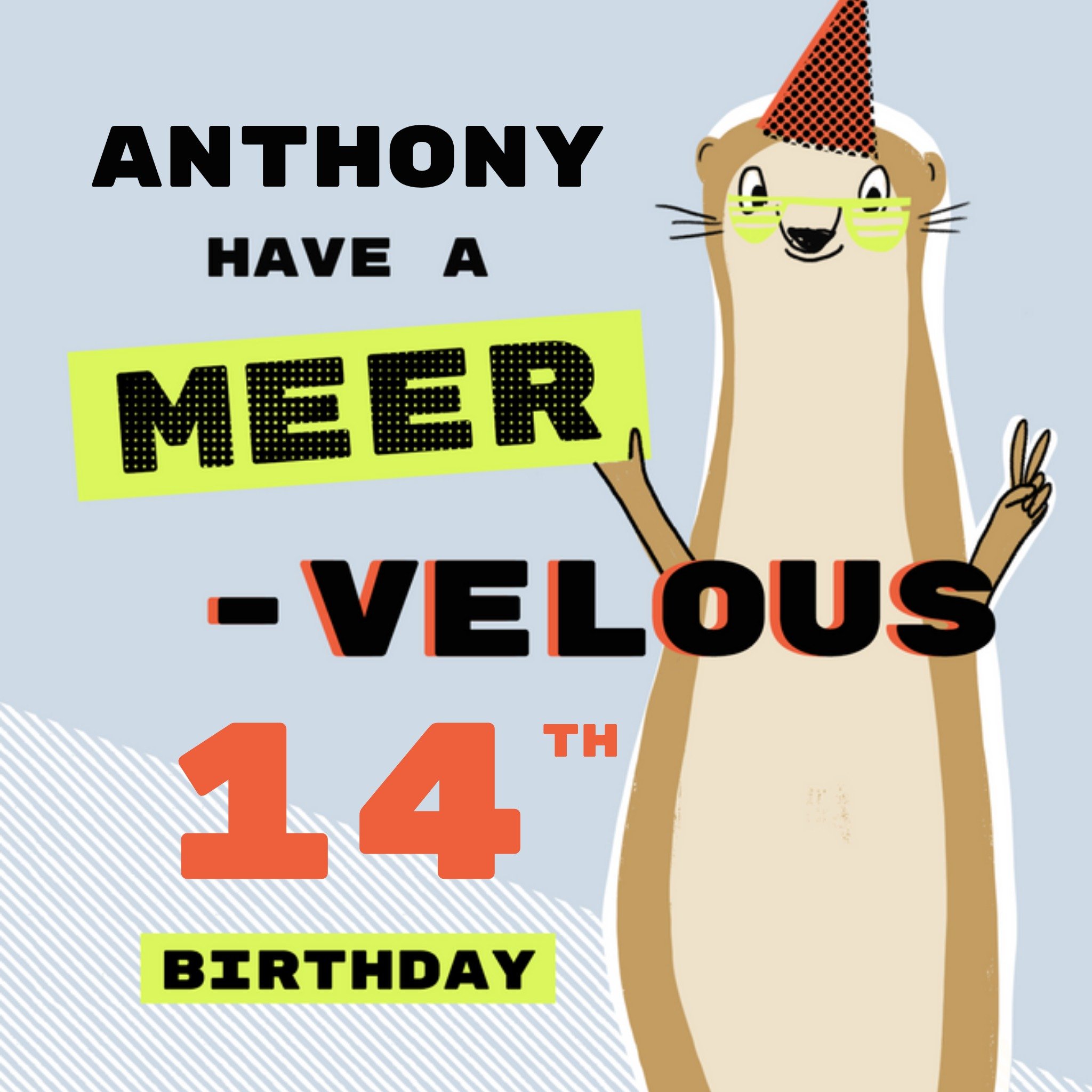 Moonpig Fun Meervelous Meerkat Illustrated 14th Birthday Card, Square