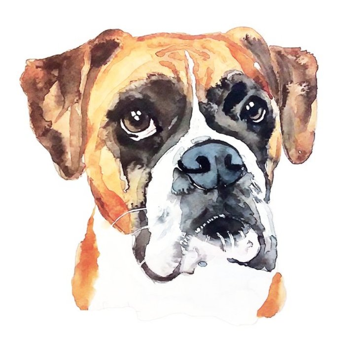Illustrated Watercolour Dog Boxer Just A Note Card