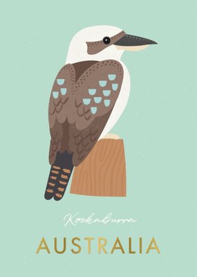 Illustration Of A Kookaburra On A Teal Background Kookaburra Australia Card