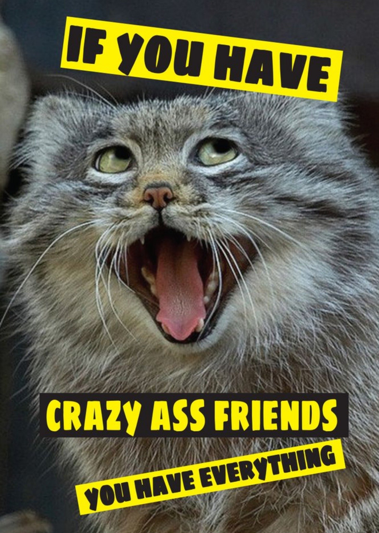 Funny Cheeky Chops If You Have Crazy Ass Friends You Have Everything Card Ecard