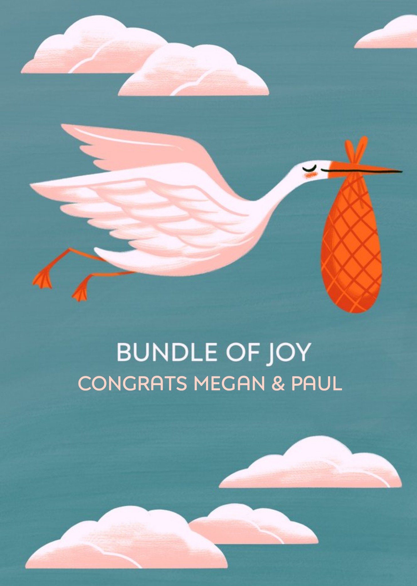 Conor Merriman Illustrated Stork Parents Mum To Be Cute Card Ecard