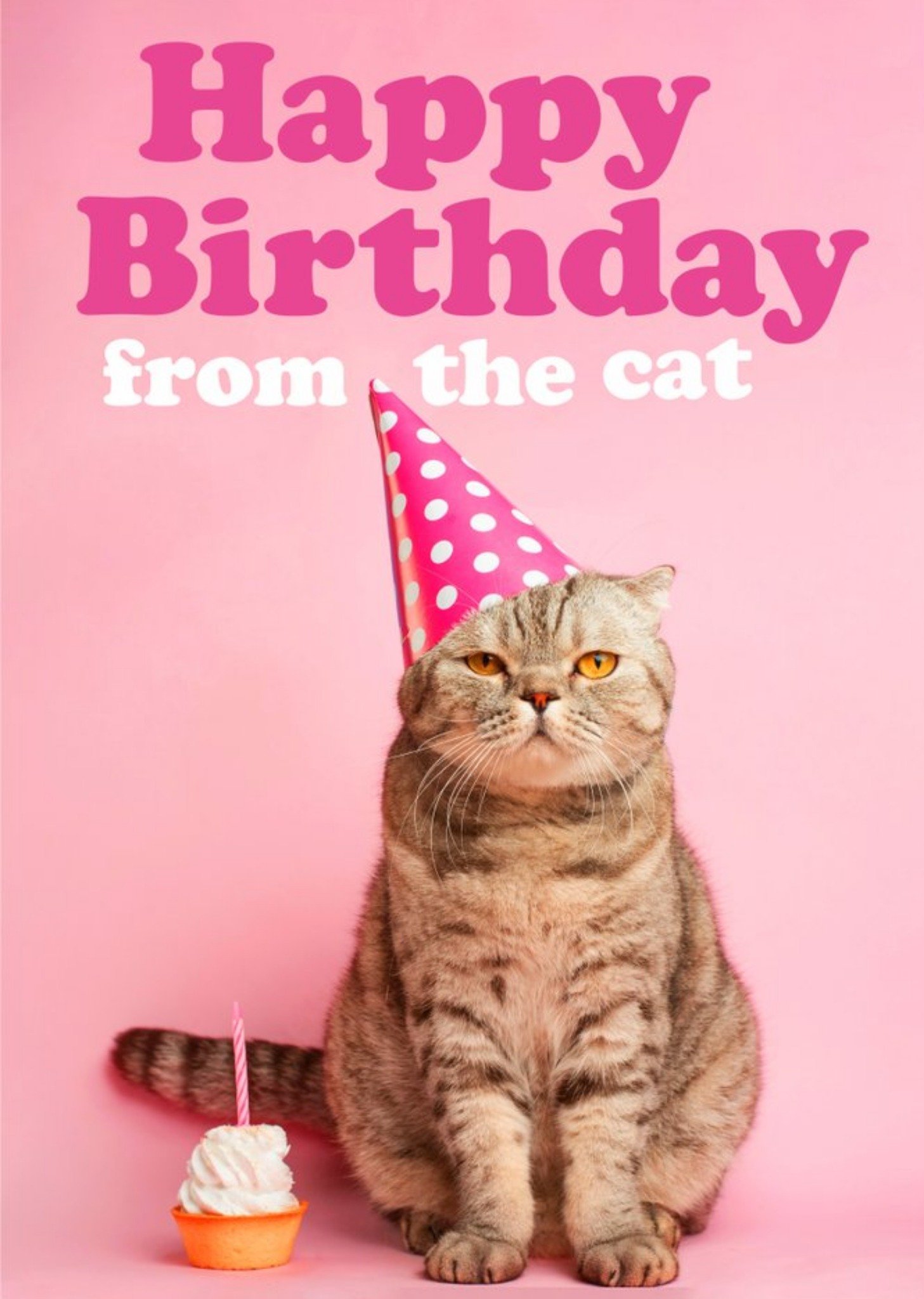 Moonpig Funny Happy Birthday From The Cat Card, Large