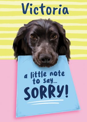 A Little Note To Say Sorry Card