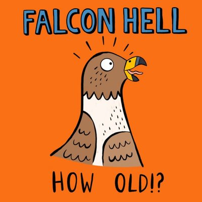Falcon Hell How Old Falcon Illustration Card