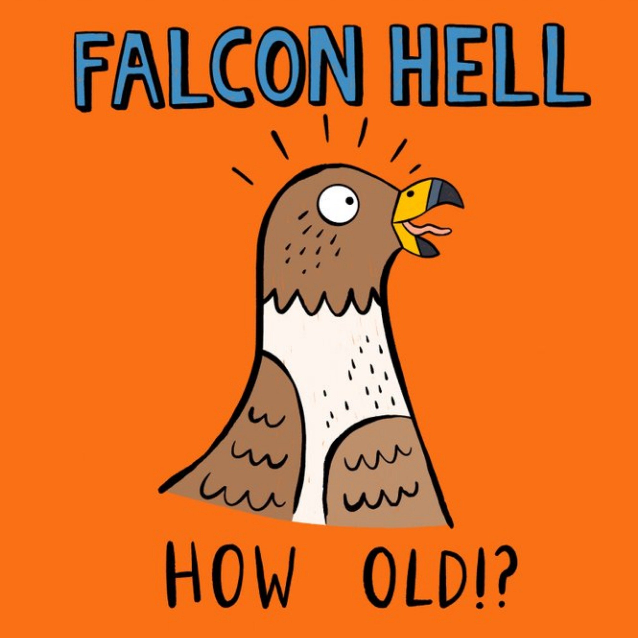 Moonpig Falcon Hell How Old Falcon Illustration Card, Large