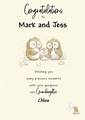 Illustrated Owls Customisable New Grandparents Card