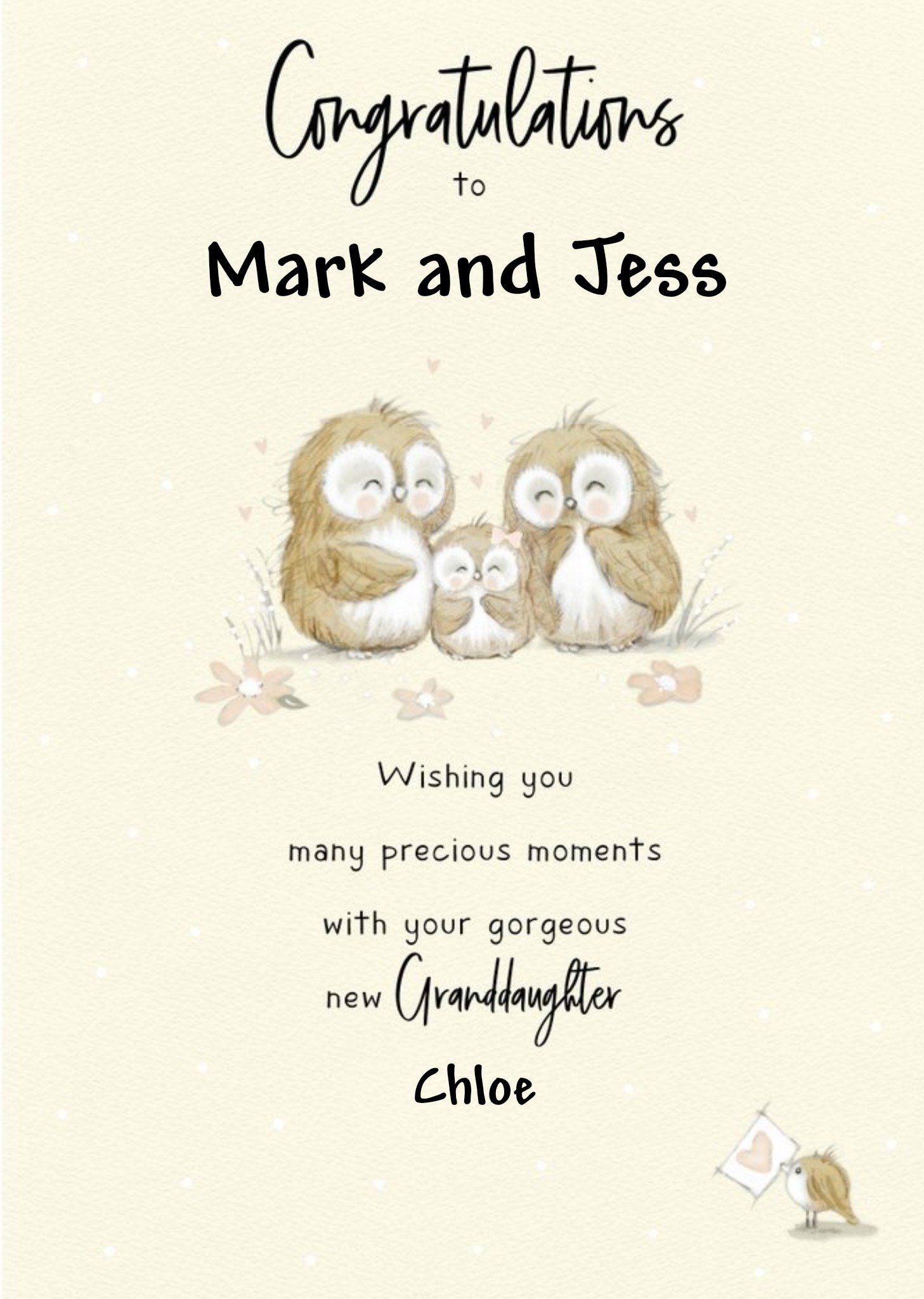 Illustrated Owls Customisable New Grandparents Card