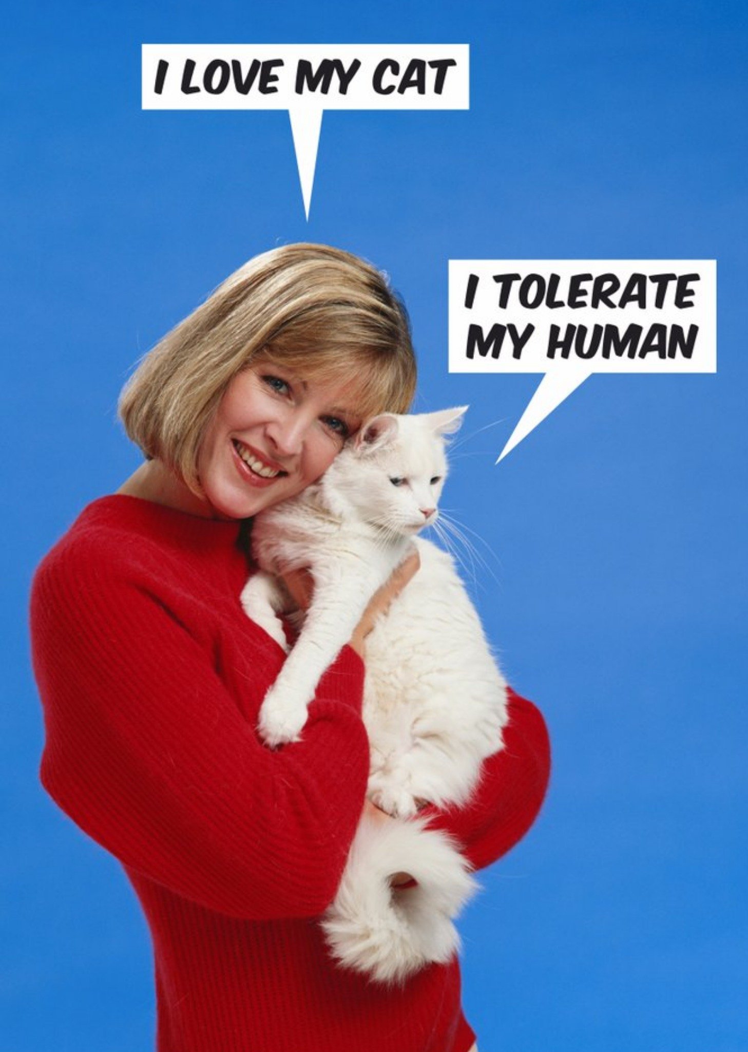 I Love My Cat I Tolerate My Human Funny Card