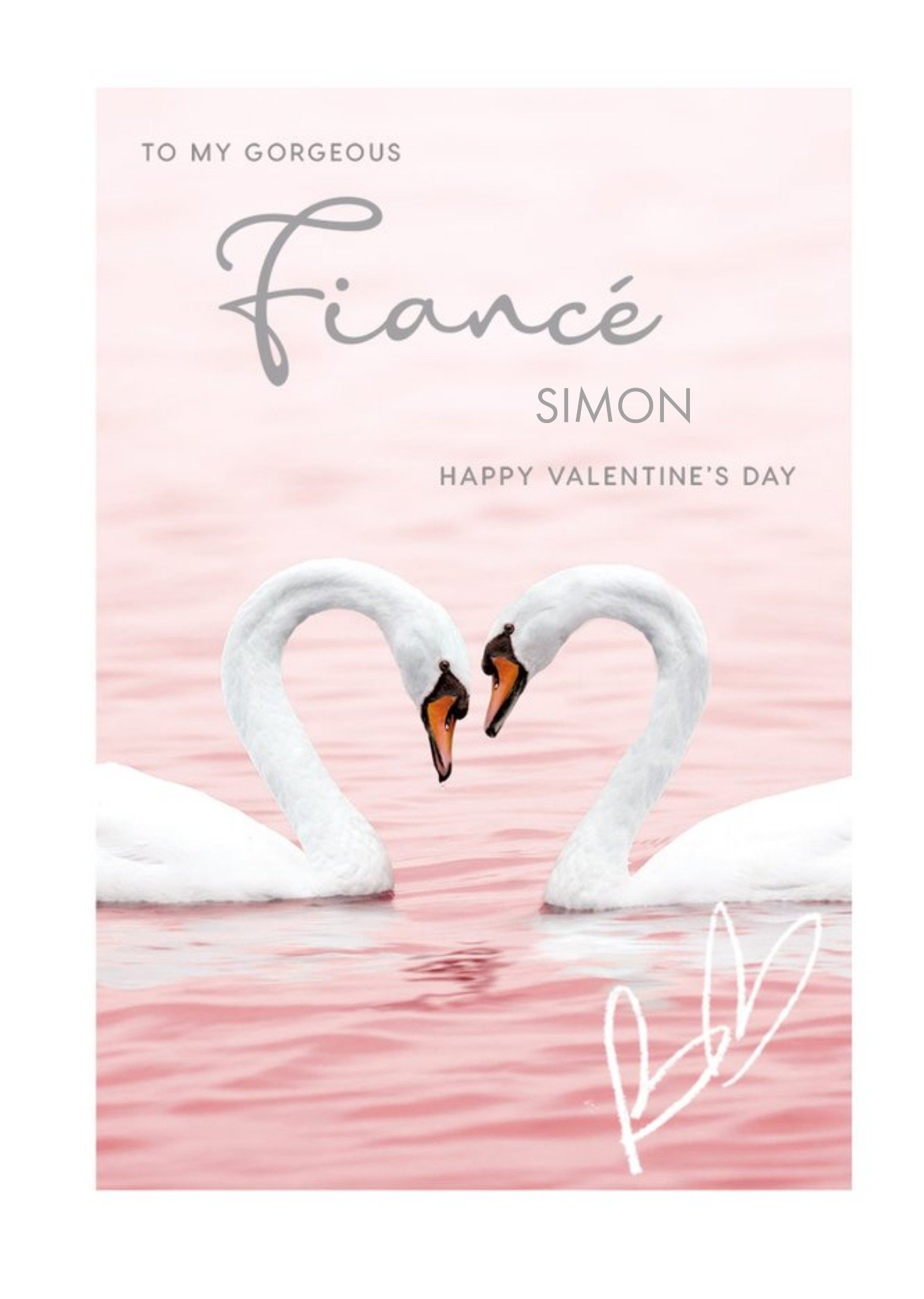 Animal Planet Swans Gorgeous Fiancé Valentine's Day Card