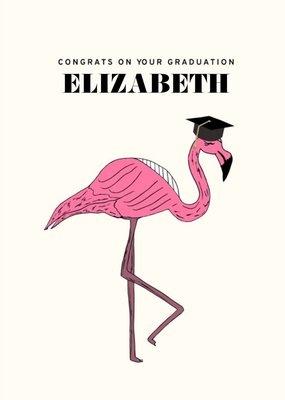 Flamingo Graduation Congratulations Card