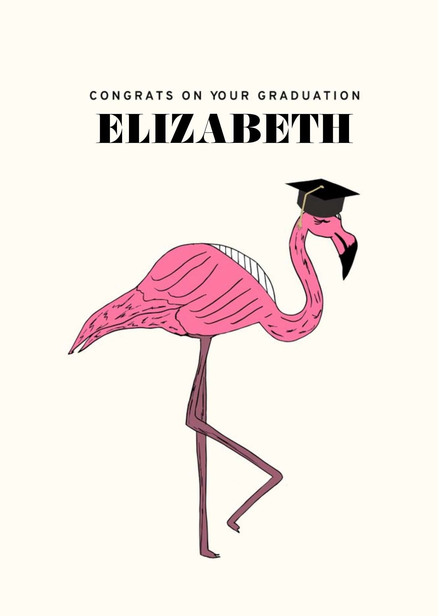 Moonpig Flamingo Graduation Congratulations Card, Large