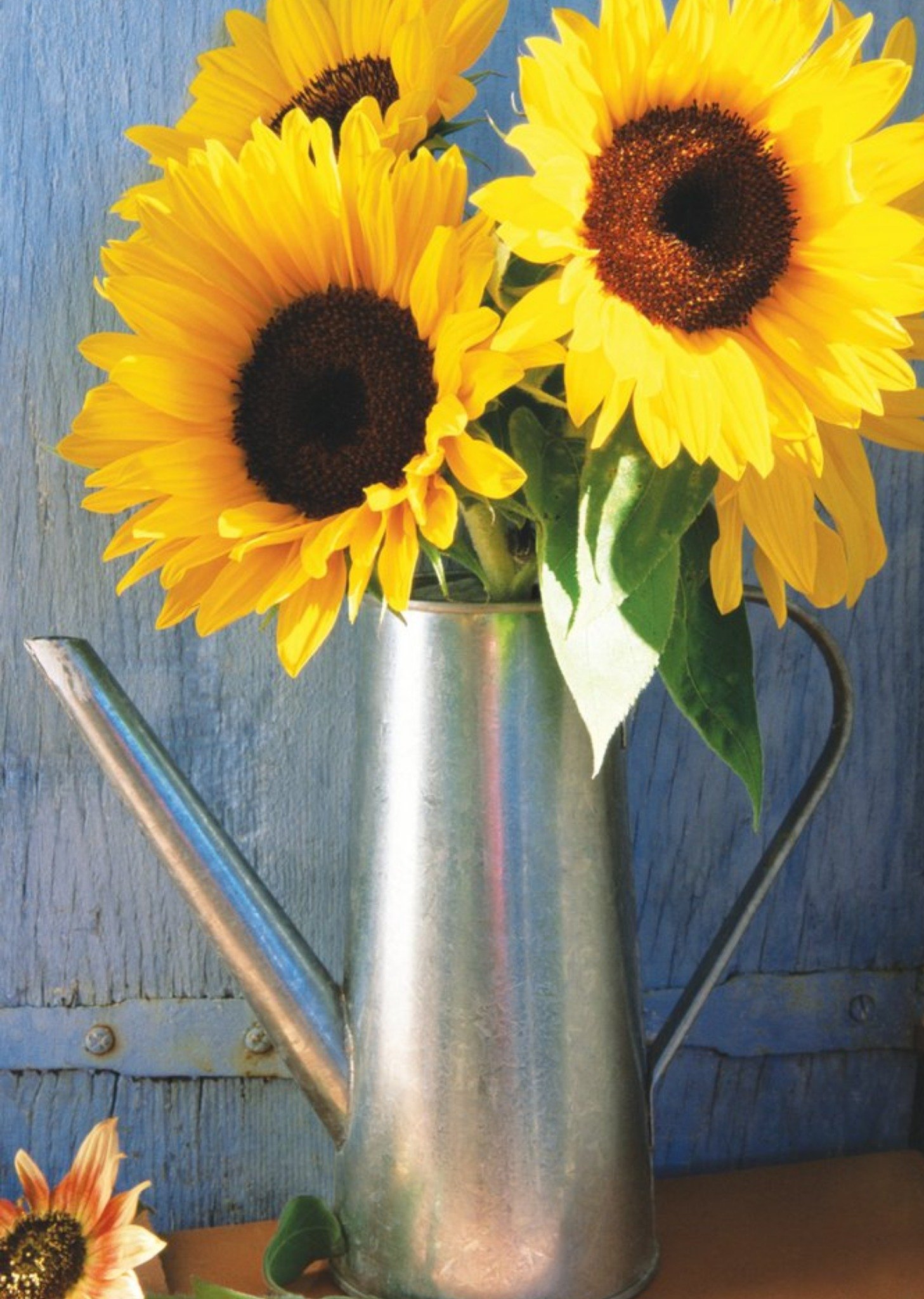Moonpig Mother's Day Card - Sunflowers, Large