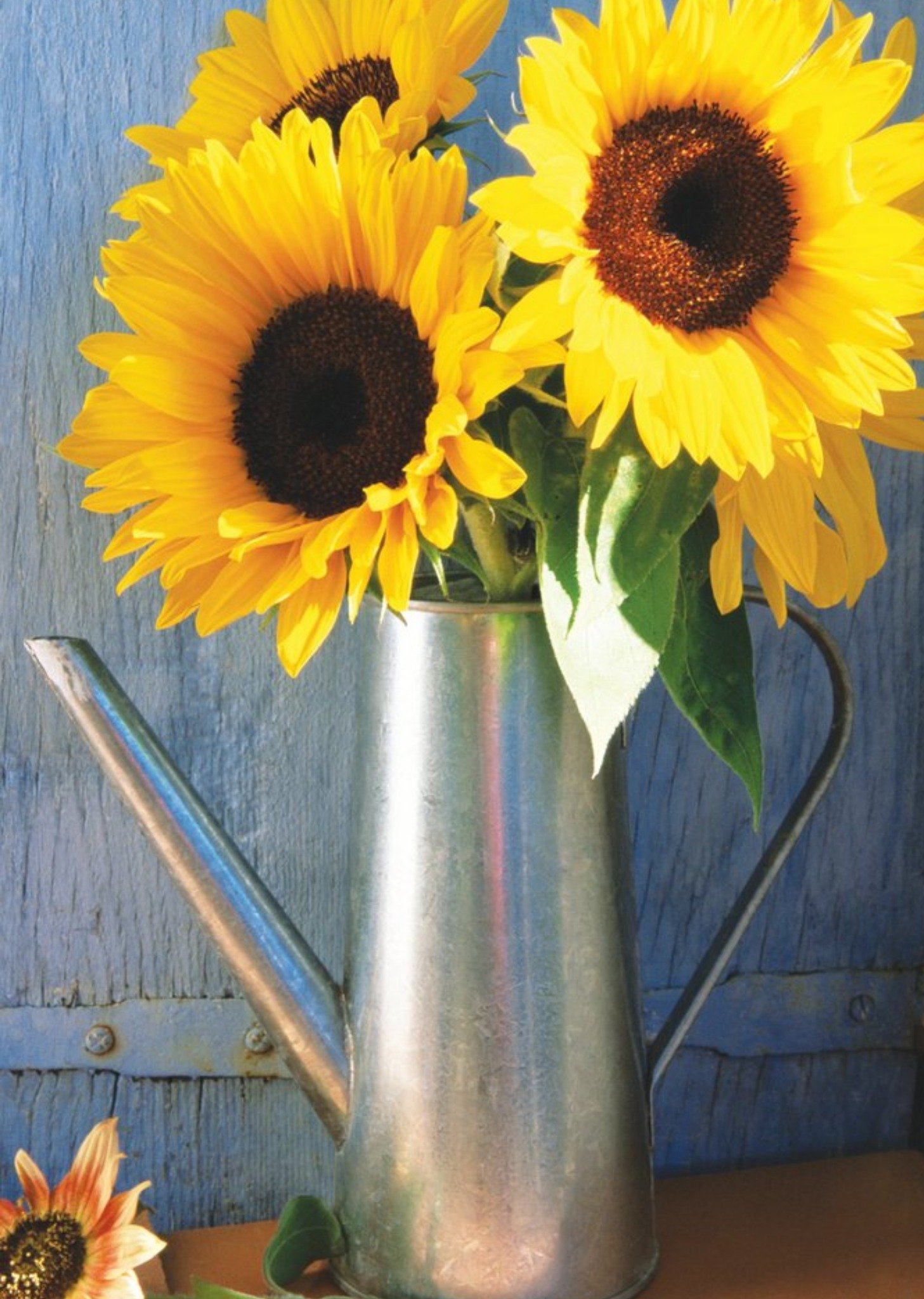 Mother's Day Card - Sunflowers