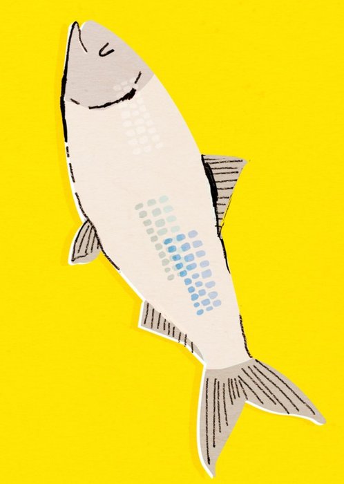 Big Fish On Bright Yellow Background Card