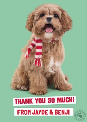 Studio Pets Christmas Card Thank you so much!