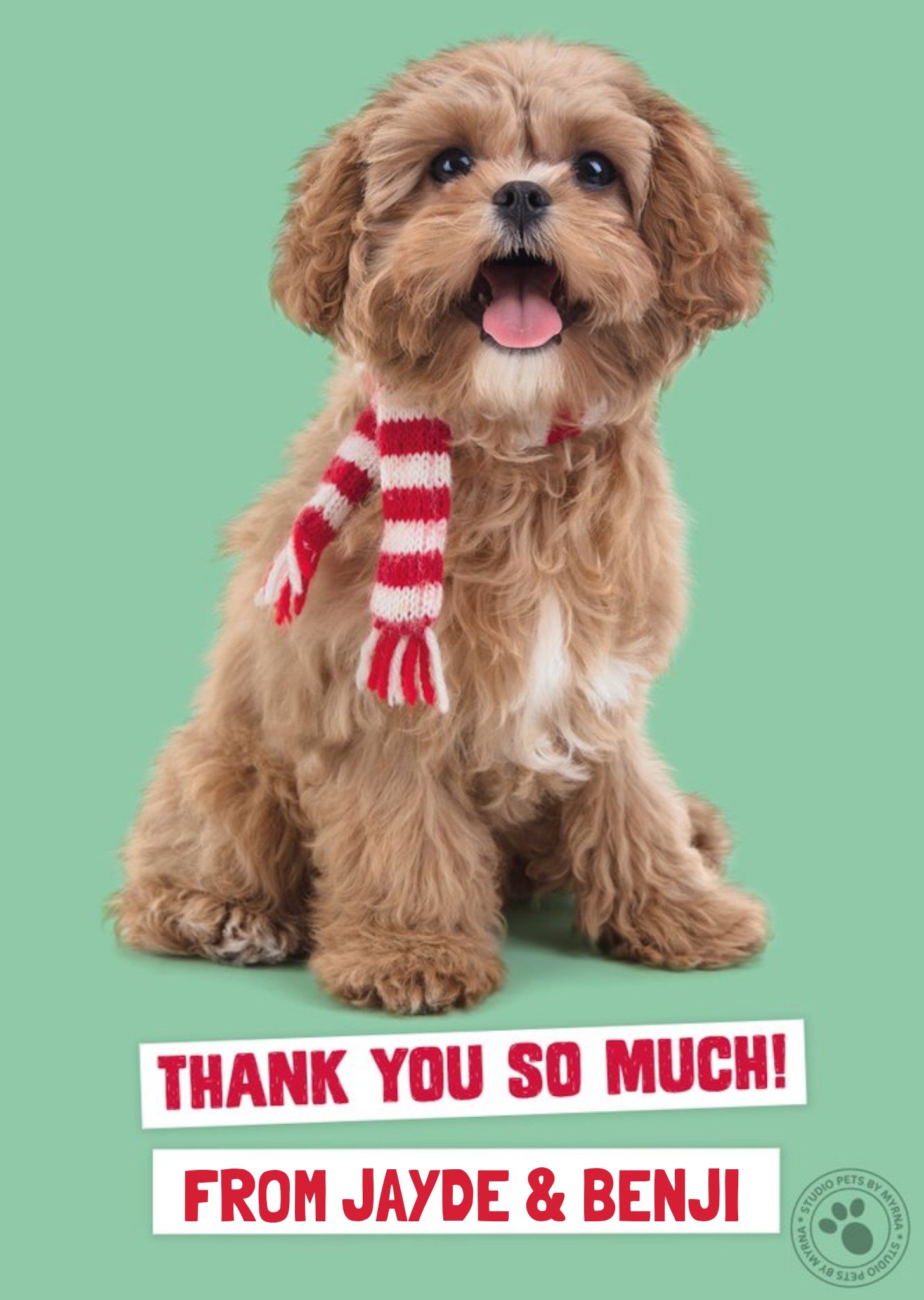 Studio Pets Christmas Card Thank You So Much, Large
