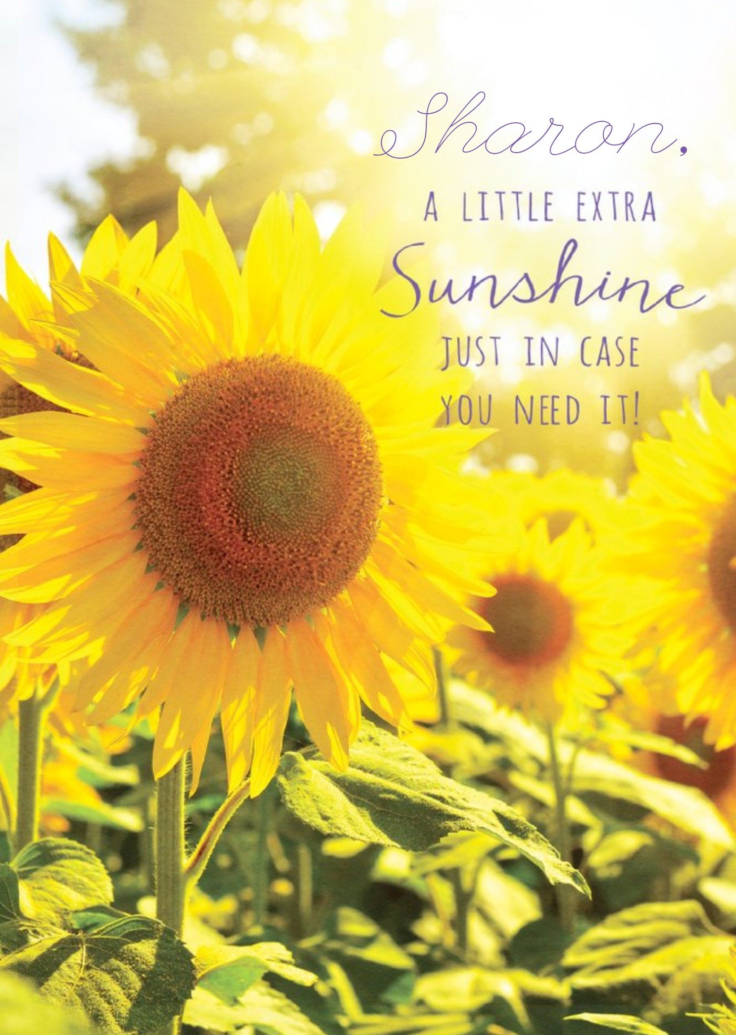 Pigment A Little Extra Sunshine Card Ecard