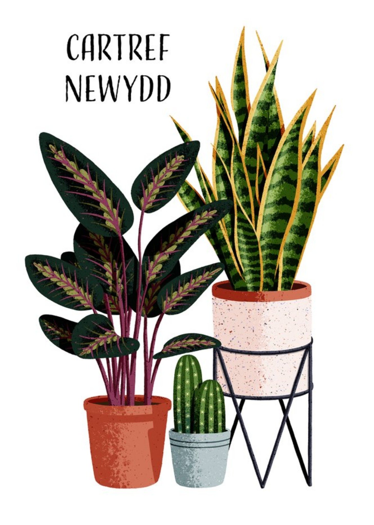 Folio Illustrated House Plants Welsh New Home Card Ecard