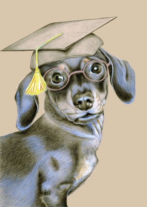 Hand Drawn Dachshund Graduation Cap Card