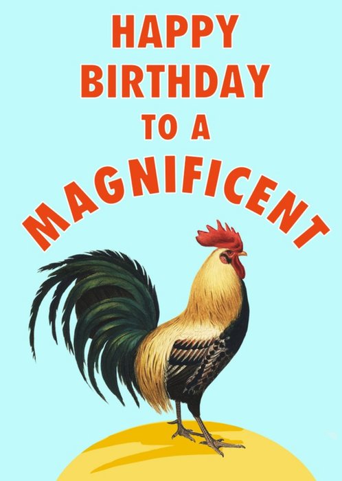 Funny Magnificent Coq Friend Birthday Card
